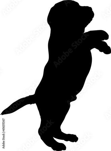 Dog on two legs Dog puppies silhouette. Baby dog silhouette Puppy breeds 