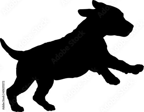 Dolmatine runs Dog puppies silhouette. Baby dog silhouette Puppy breeds 