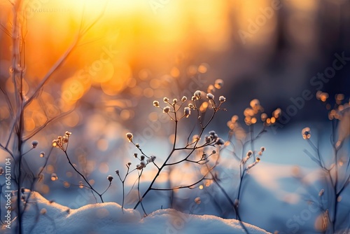 Winter Wonderland Background. Serene Beauty of icy textures, invites you to embrace the quiet stillness of winter.