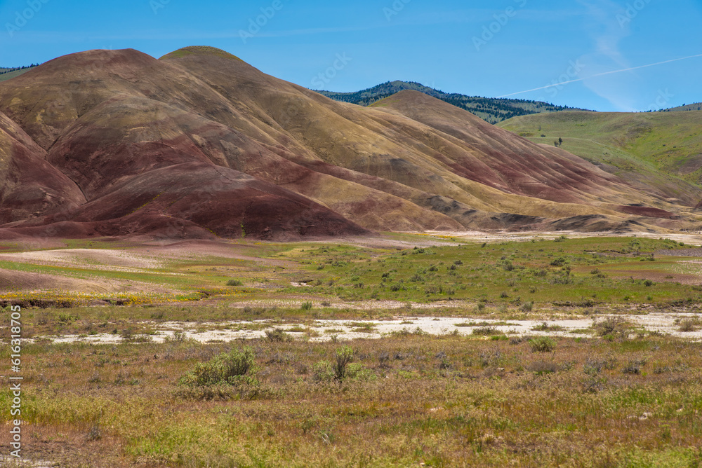 Obraz premium Sunny Painted Hills