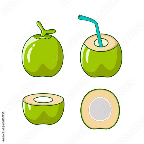 Set of fresh young coconut illustration template