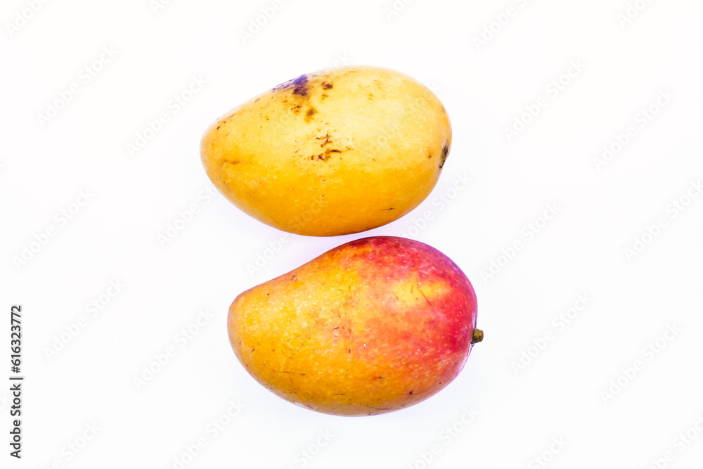 Mango Mango ripe fruits laos fruits thai Mango Mango ripe fruits laos fruits thai