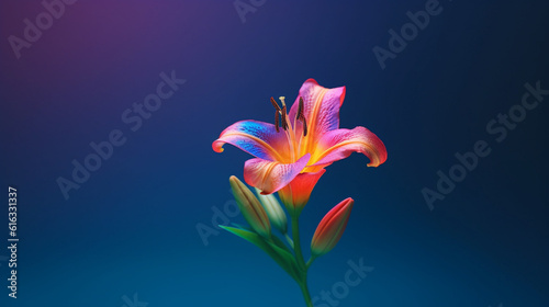 Fototapeta Naklejka Na Ścianę i Meble -  red and yellow tulips HD 8K wallpaper Stock Photographic Image