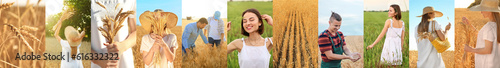 Collage of farmers and whea...