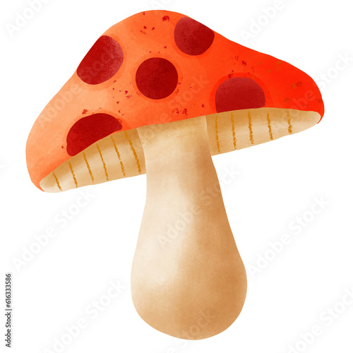 Lovely chestnuts for Halloween.