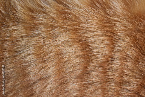 Ginger cat fur texture background. Pet hair or coat texture. 