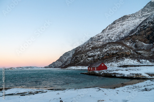 A traditional norwegian red barn enclosed by rugged mountains and snow-covered beaches in the arctic. Shown during the golden hour of a brief period of daylight near the town of Bodo.