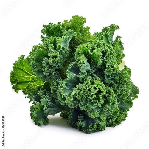 Professional photo of delicious fresh curly kale