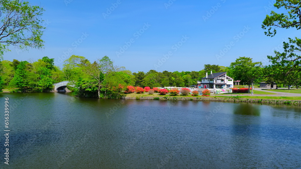 Fototapeta premium 大沼公園（5月）4