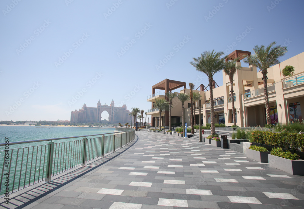 The Palm in Jumeirah