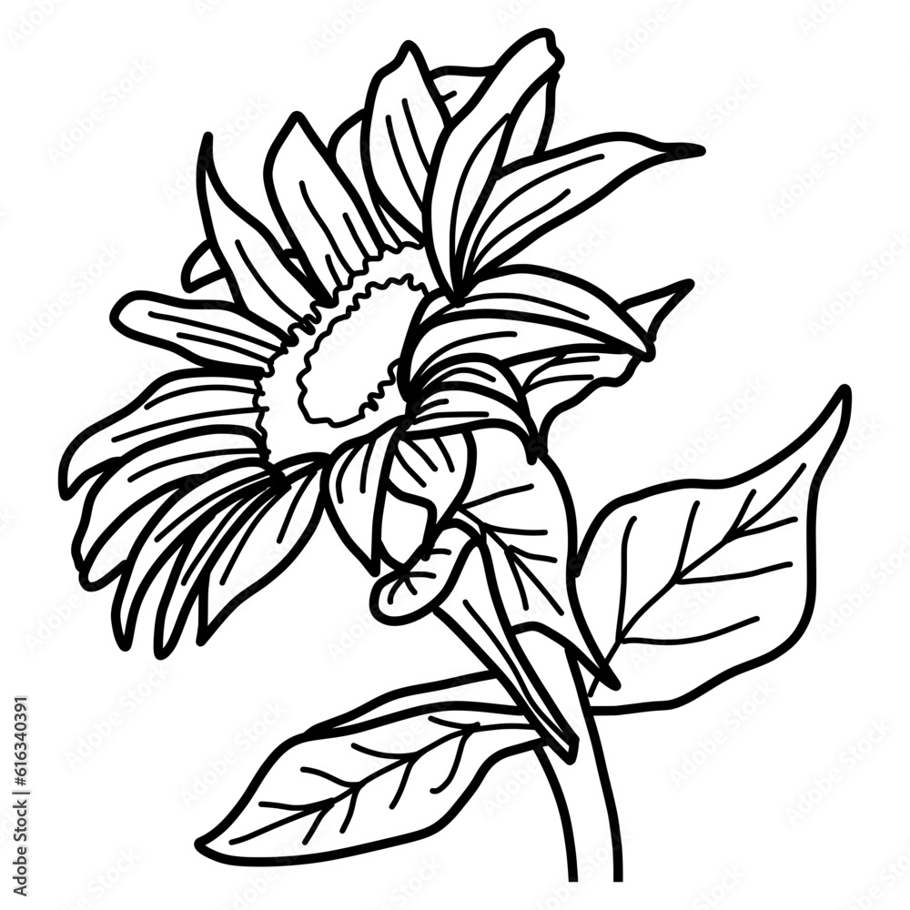 Obraz premium sketch of flower