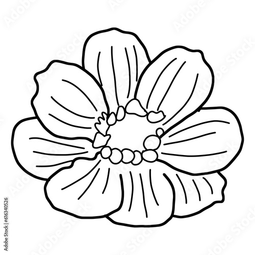 sketch of flower