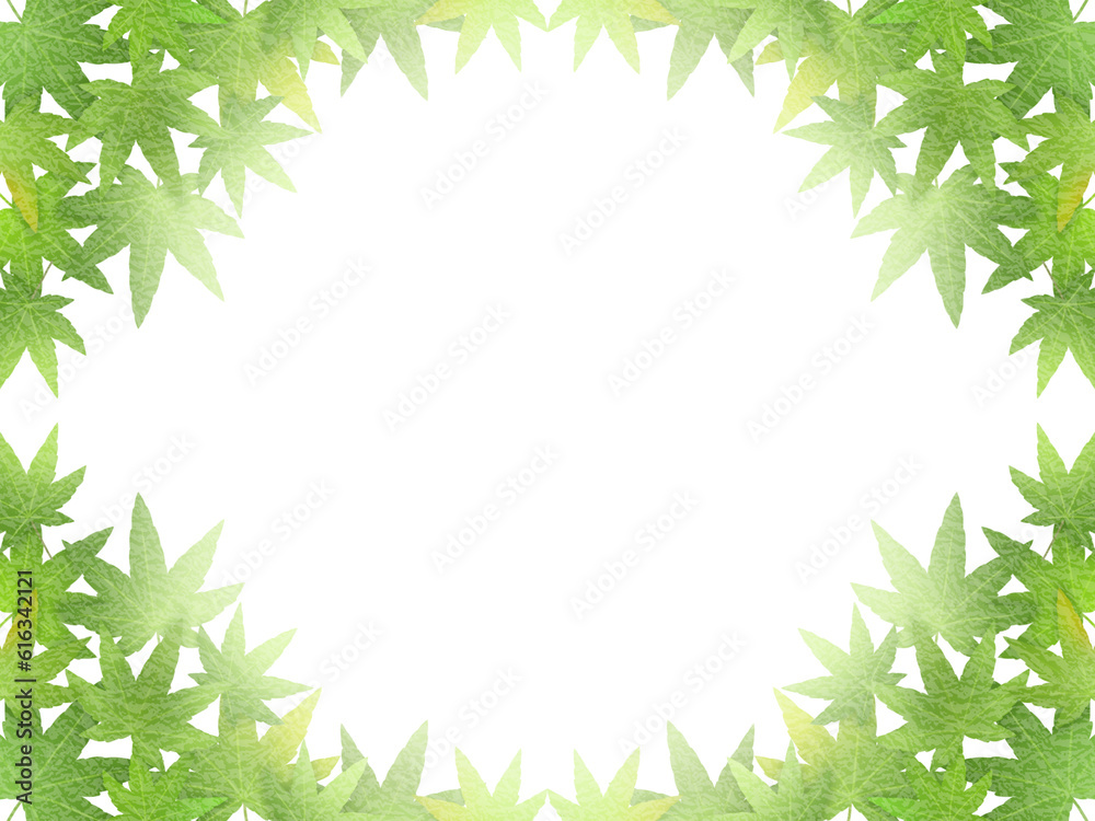 緑のモミジの背景　F-2  和紙