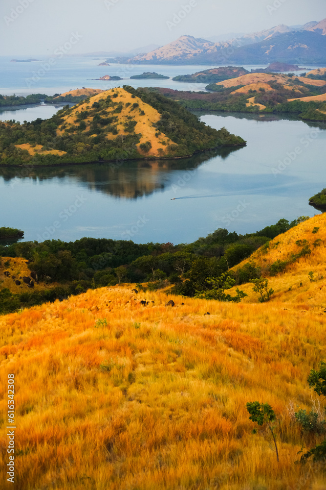 Landscape, view of bays and islands with mountains covered with dry, yellow grass, Flores, Indonesia.