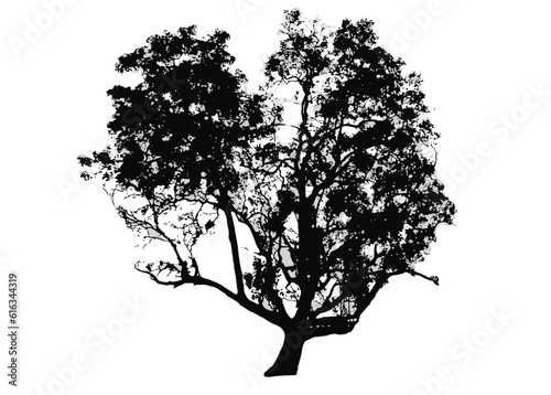 Vector illustration of tree silhouette and shadow.