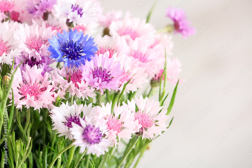 Bouquet of beautiful cornflowers, closeup Bouquet of beautiful cornflowers, closeup
