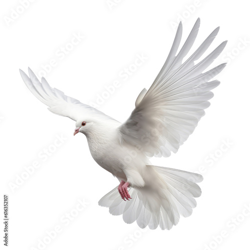 white dove flying isolated on transparent background cutout