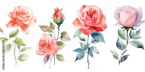 Watercolor rose flowers set © Benjamin