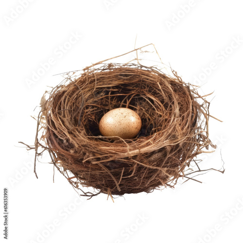 Wallpaper Mural bird nest with egg isolated on transparent background cutout Torontodigital.ca
