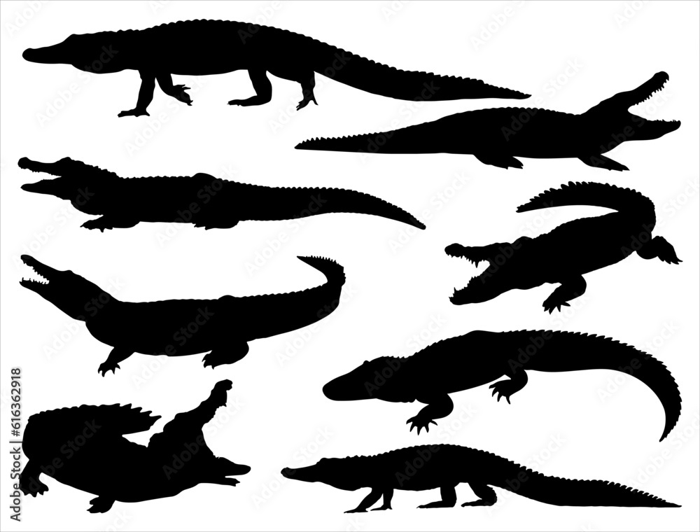 Set of Alligator Silhouette