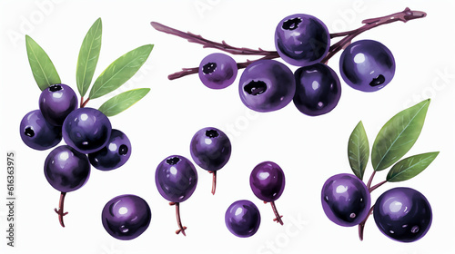 Acai berry in Watercolor with Generative AI 