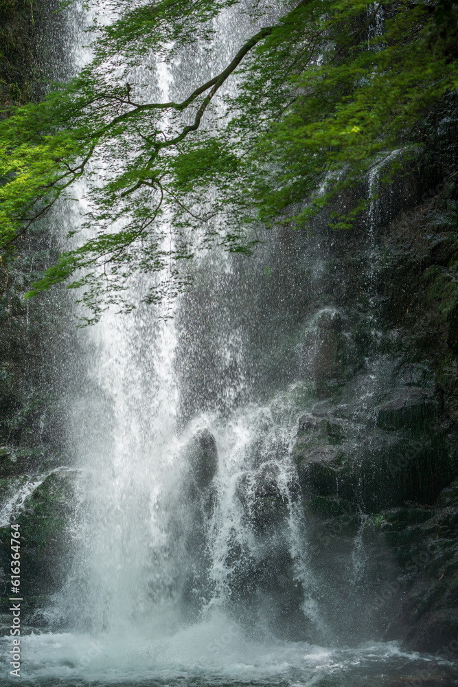 箕面の滝の水しぶき 箕面の滝の水しぶき