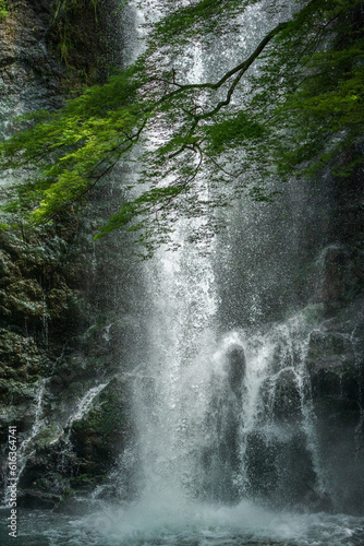 箕面の滝の水しぶき