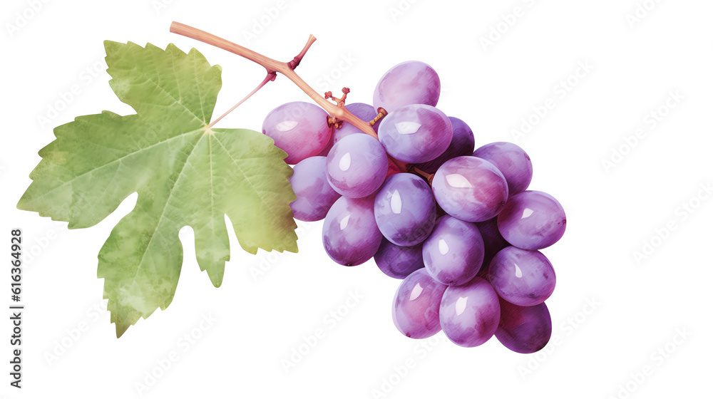Fototapeta premium Traube, grape in Watercolor with Generative AI