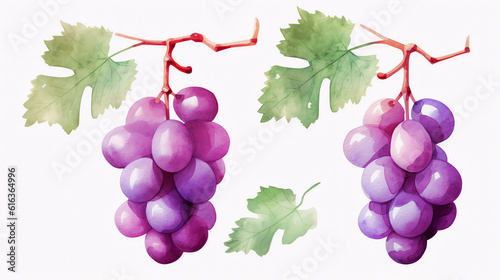Traube, grape in Watercolor with Generative AI