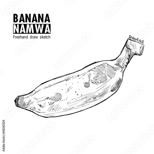 Banana Namwa freehand draw sketch