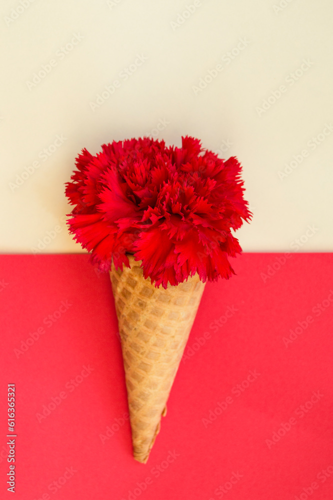 Ice cream cone and red carnation on red and white background