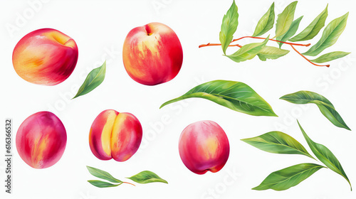 Nektarine, nectarine in Watercolor with Generative AI 