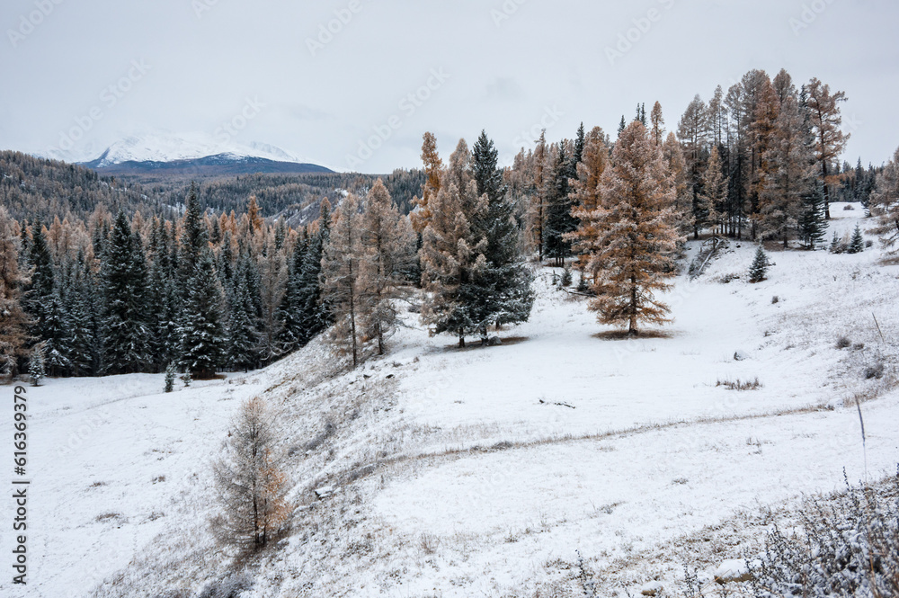 View of Ulagan Highlands in Altay mountains