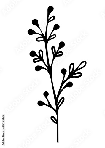 Leaves plant line art simple drawn icon. Wild grass doodle botanical sketch. Vector illustration isolated on white background. Organic hand drawn element image.