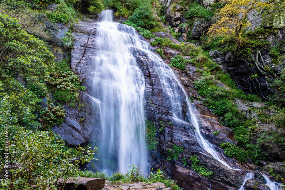 Fototapeta premium waterfall in the forest