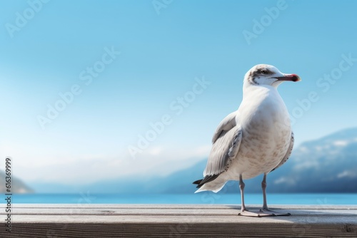 Seagull bird mockup. Generate Ai