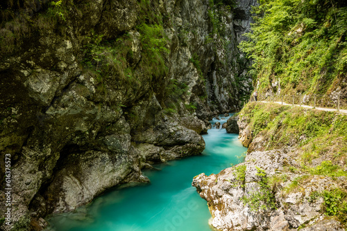 Wonderful landscape of turquoise Soca river  Slovenia  passing through amazing  steep  rocky canyon of slovenian Alps  covered in dense vegetation