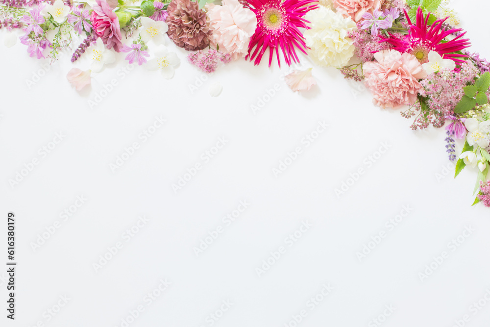 beautiful summer flowers on white background