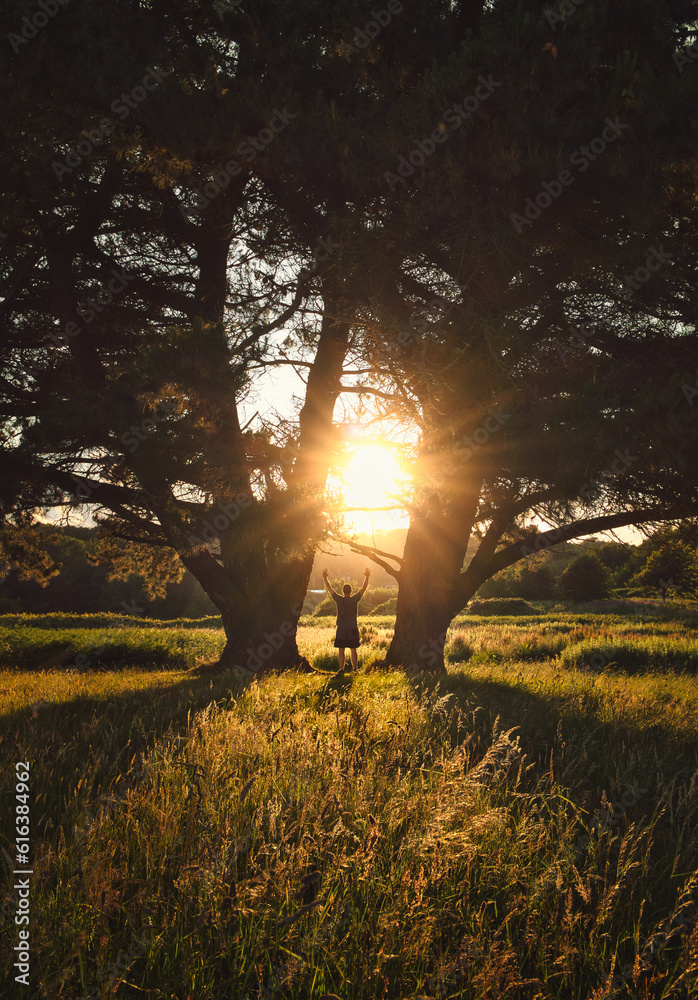 Beautiful sunset scenery with silhouetted man standing between two huge pine trees with sun star in the middle