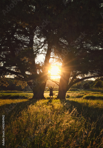 Obraz na płótnie Beautiful sunset scenery with silhouetted man standing between two huge pine trees with sun star in the middle w salonie