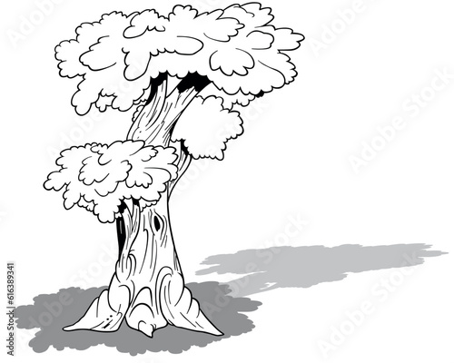Drawing of a Leafy Tree with Three Crowns