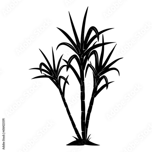 silhouette of sugarcane plant