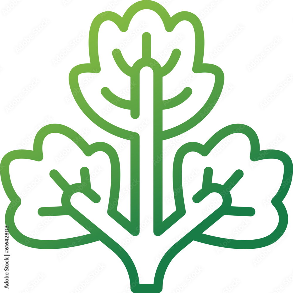 coriander gradient line icon coriander gradient line icon