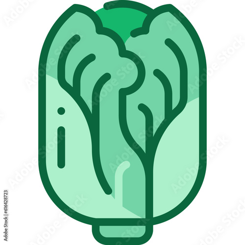 chinese cabbage two tone icon