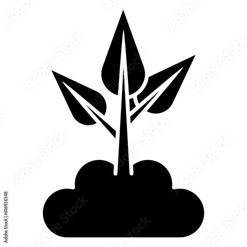 soil with plant