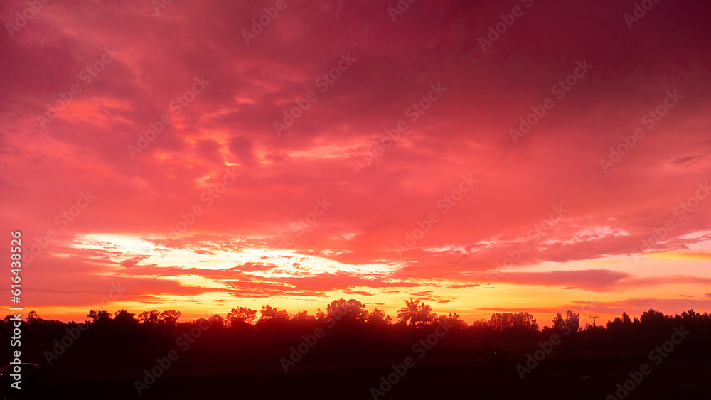 Amazing Sunset and sunrise.Beautiful african red and orange sunset with silhouettes of acacia trees and sun setting on the horizon. Amazing Sunset and sunrise.Beautiful african red and orange sunset with silhouettes of acacia trees and sun setting on the horizon.