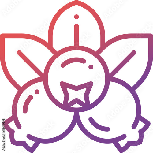 blueberry gradient line icon