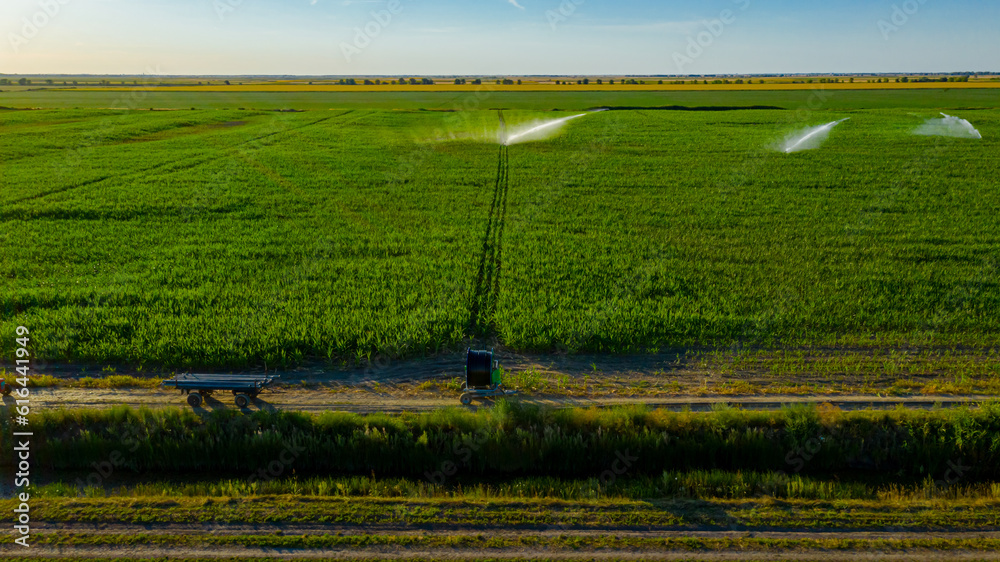 Aerial view on high pressure agricultural water sprinkler, sprayer, sending out jets of water to irrigate corn farm crops
