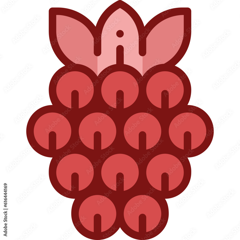 raspberry two tone icon