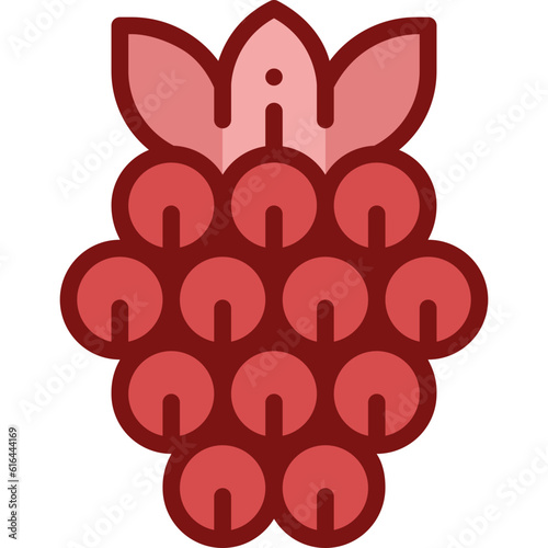 raspberry two tone icon